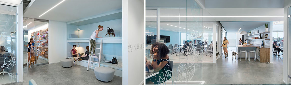 PA�콢��(�й���)�ٷ���վ-PA PlayAce