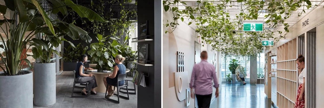 ����װ����ƹ�˾