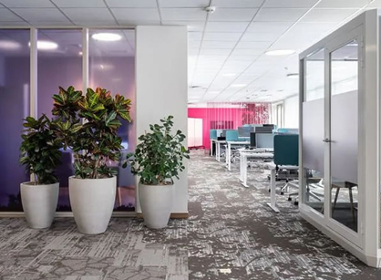 ��עԱ�����ܵİ칫װ����ƿռ��������ġ���Bayer�ݶ�